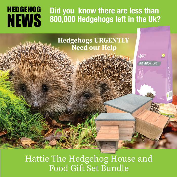 Hattie the Hedgehog and Food Gift Set Bundle