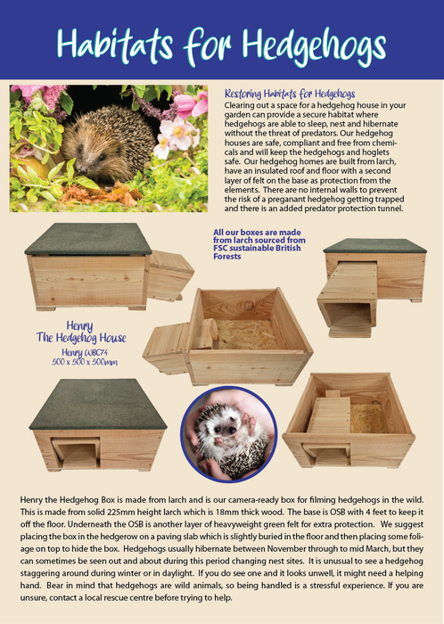 Henry The Hedgehog Box