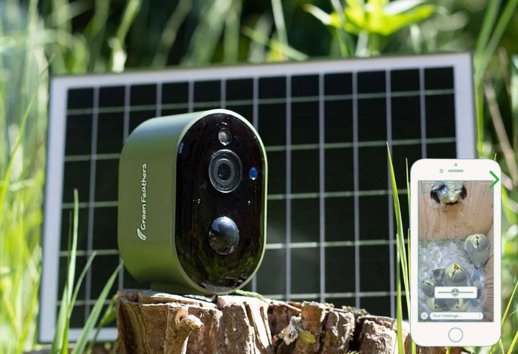 Solar-Powered Wildlife Camera