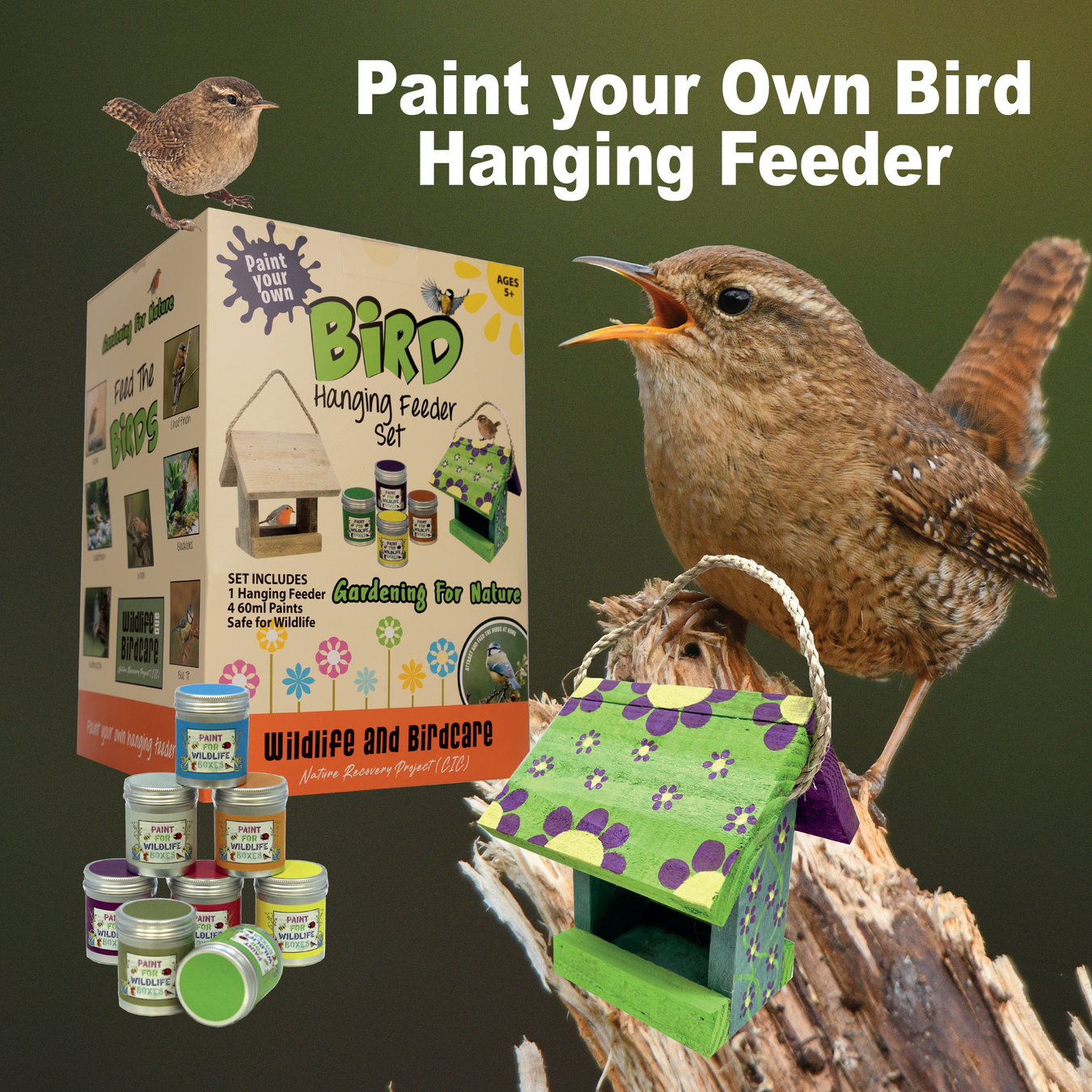 Paint Your Own Wildlife Box