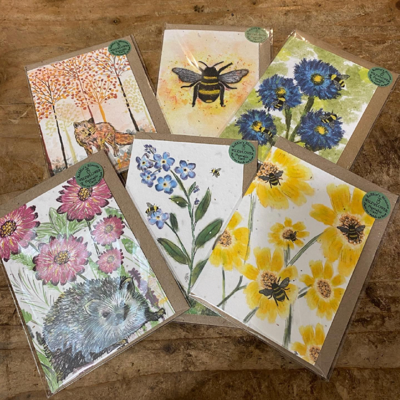 Wildflower Seed Cards