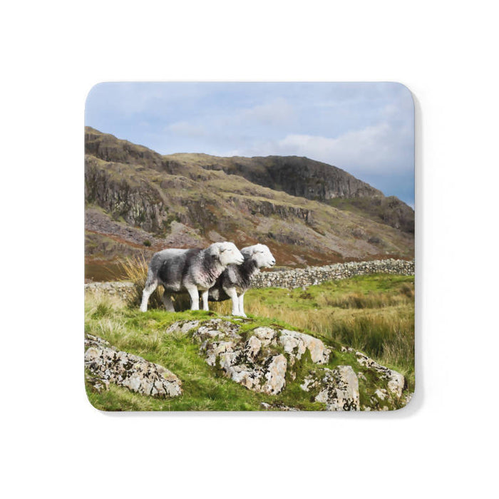Herdwick Sheep on the Cumbrian Fells Coaster