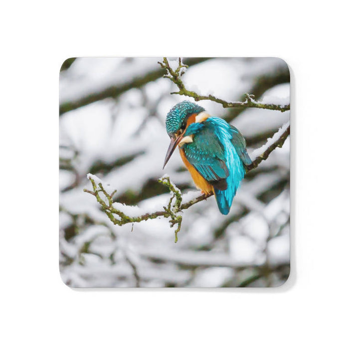 Kingfisher in the Snow Coaster