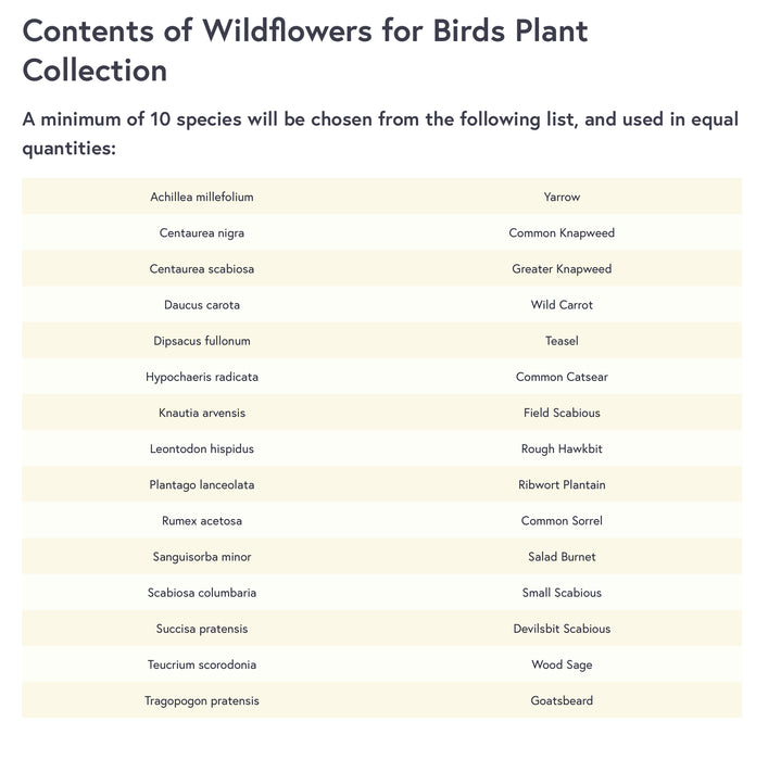 Wild Bird Plug Plant Collection 