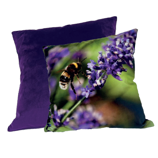 Jane Stanley's Bumble on Lavender Cushion