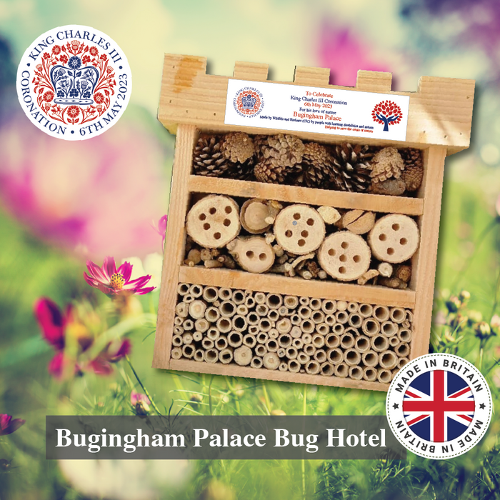 Bugingham Palace Bug Hotel Limited Edition