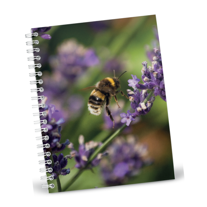 Jane Stanley's Bumble on Lavender A5 Notebook