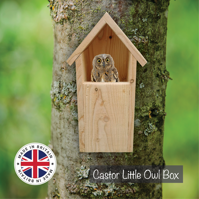 Castor Little Owl Nesting Box