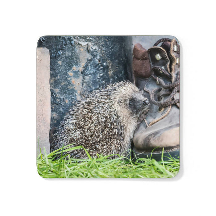 Hedgehog and Old Boots Coaster