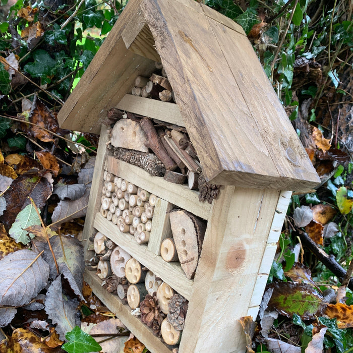 Insect House (Bugg)