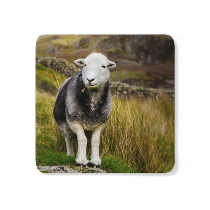 Herdwick Sheep Coaster