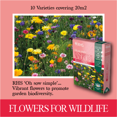RHS Shake and sow Flowers for Wildlife Bright mix