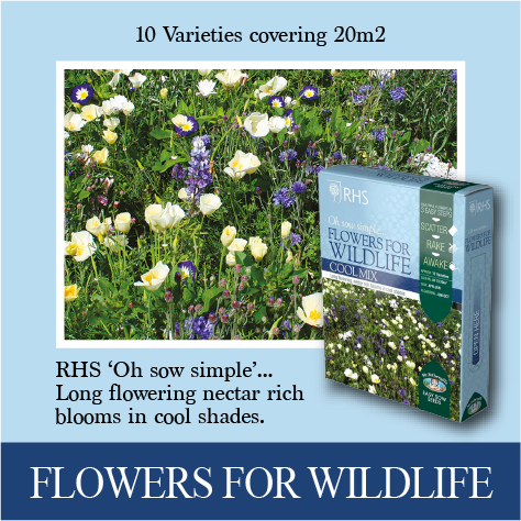 RHS flowers for wildlife cool mix