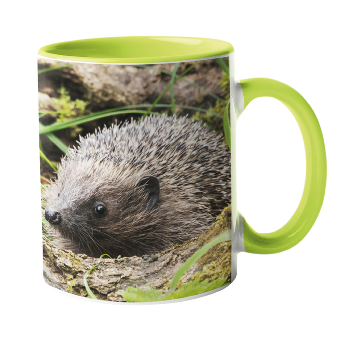 Hedgehog Garden Mug