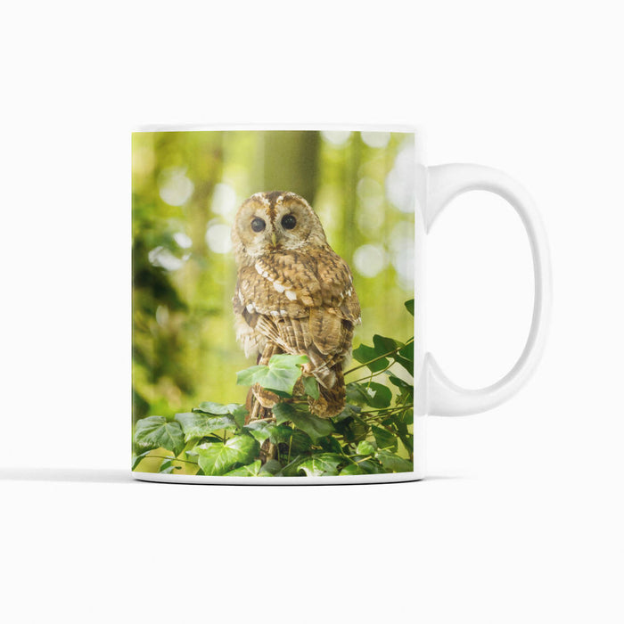 Tawny Owl Mug
