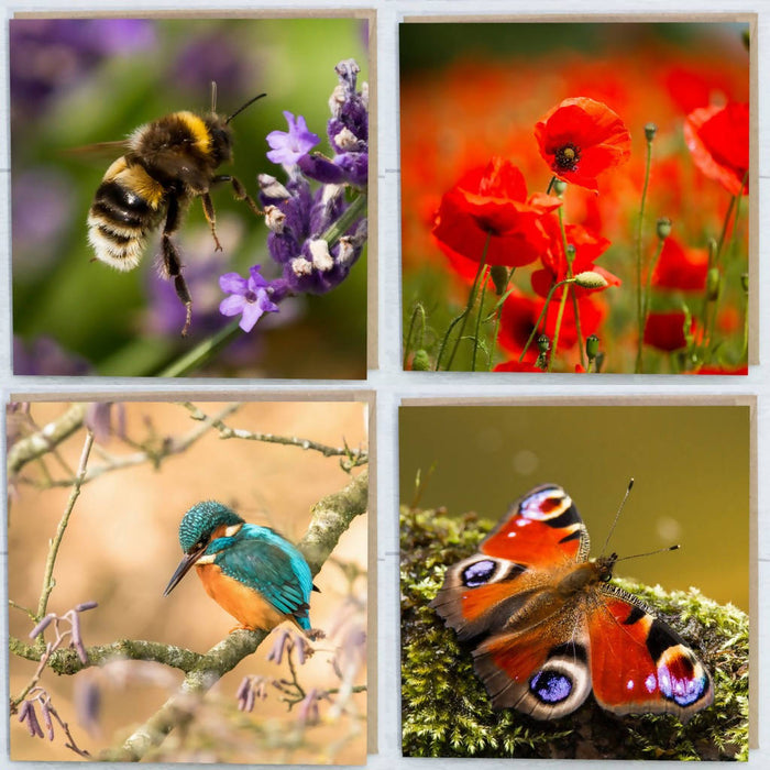 Flora and Fauna Collection Greeting Cards Pack