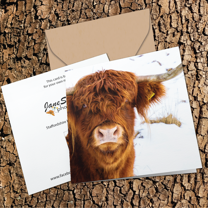Highland Cow by Jane Stanley Greeting Card
