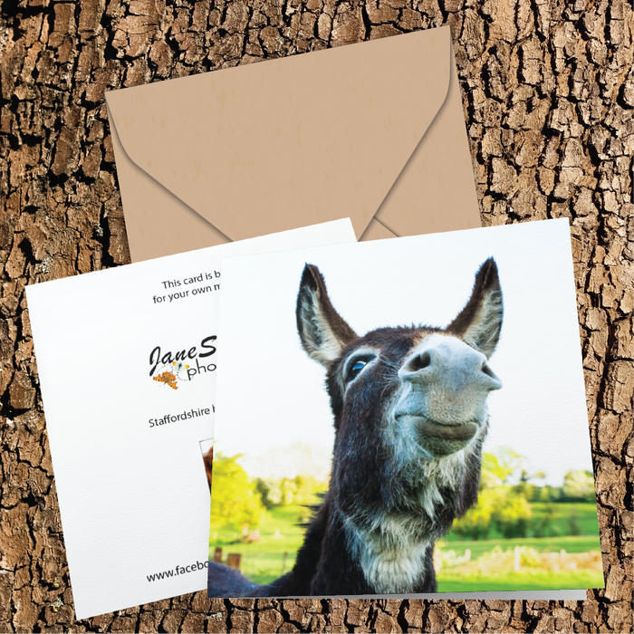 Cheeky donkey Greeting Card