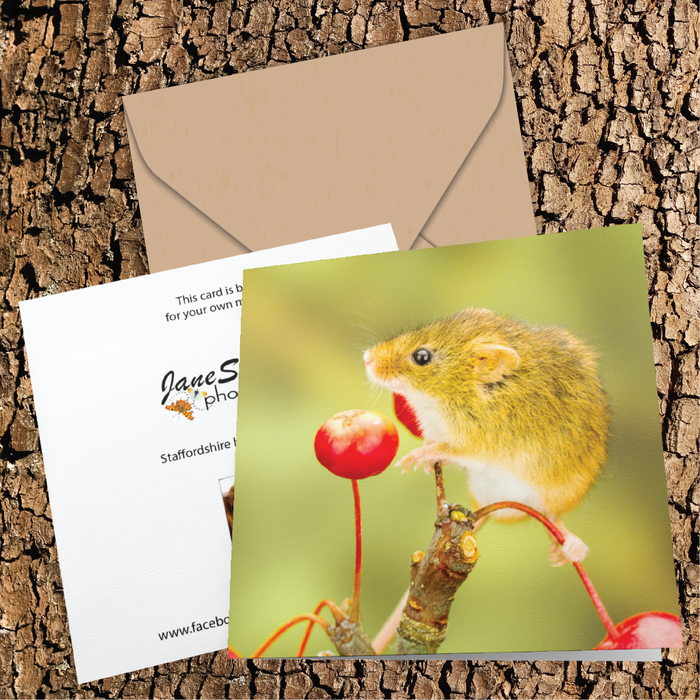 Harvest mouse on ornamental apples Greeting Card