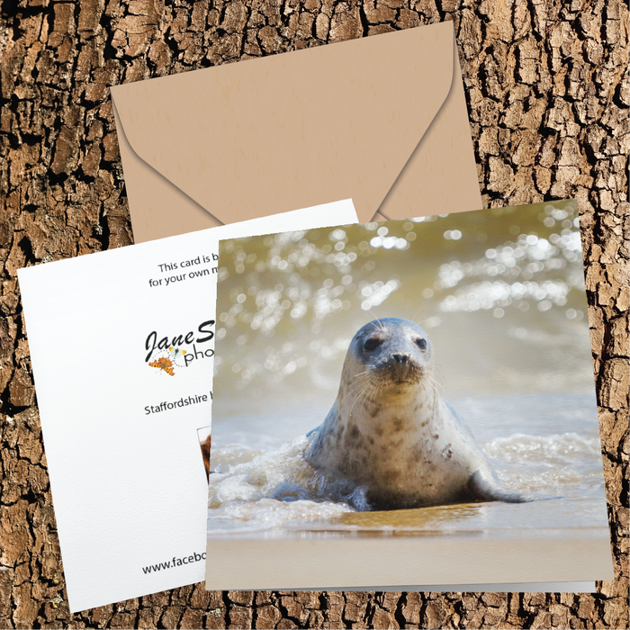 Grey seal pup on the shoreline of a Norfolk beach Greeting Card