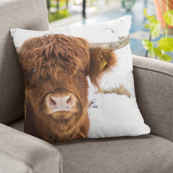 Highland Cow by Jane Stanley Cushion