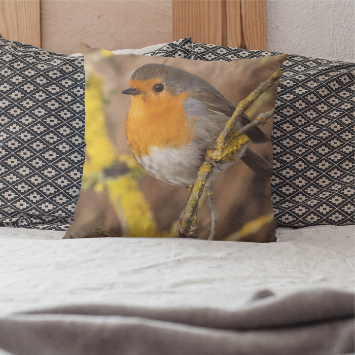 Robin on a sunny Winter's day Cushion