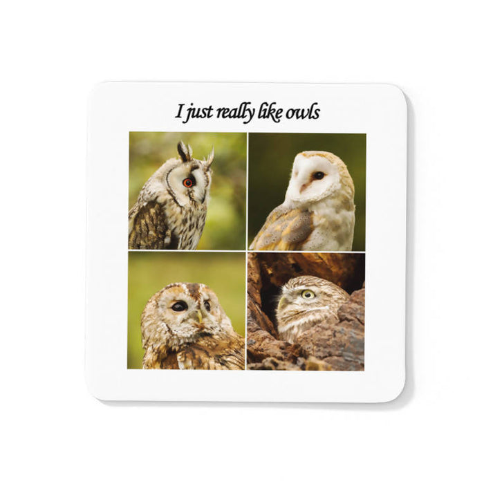 I Really Like Owls Coaster