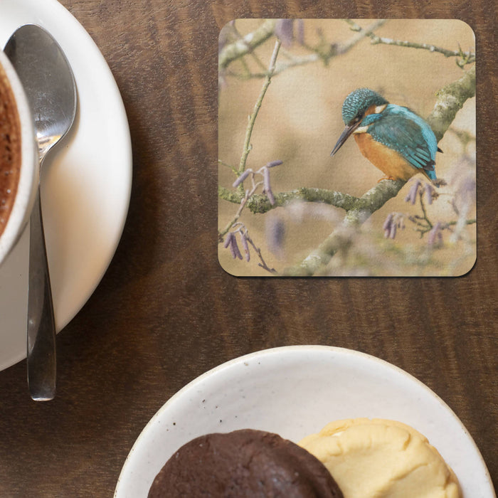 Kingfisher and Catkins Coaster