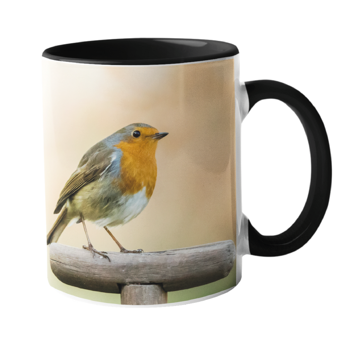 Robin on a Garden Fork Mug