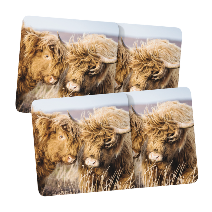 Jane Stanley's Two Highland Cow Coasters