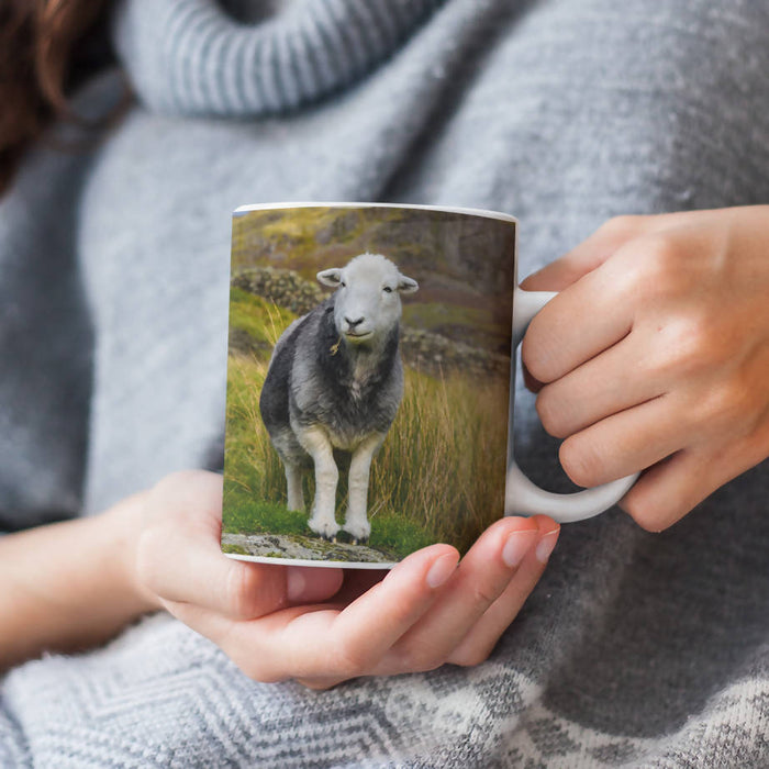 Herdwick Sheep Mug