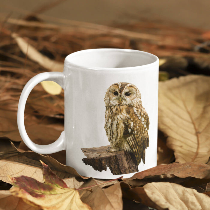 Tawny Owl Portrait Mug