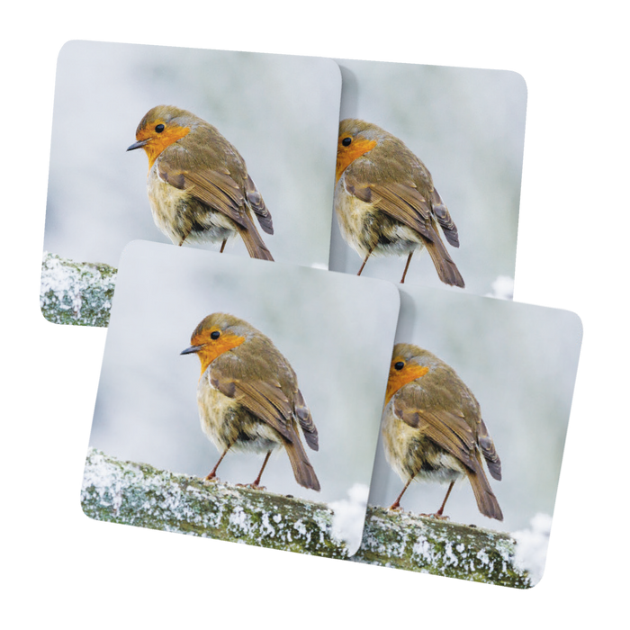 Jane Stanley's Winter Robins Placemats