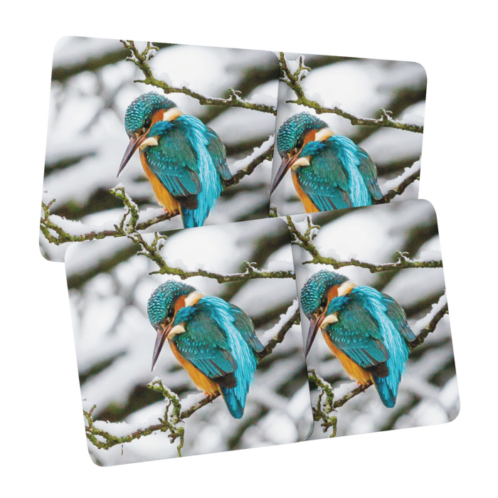Jane Stanley's Winter Kingfisher Coasters
