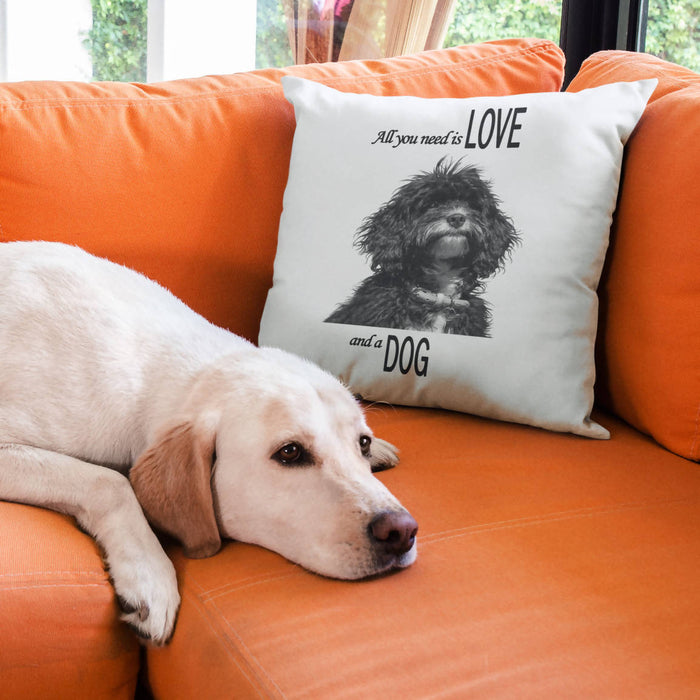 All You Need Is Love and A Dog Cushion