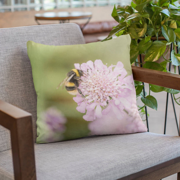 Bee on Scabious Flower Cushion