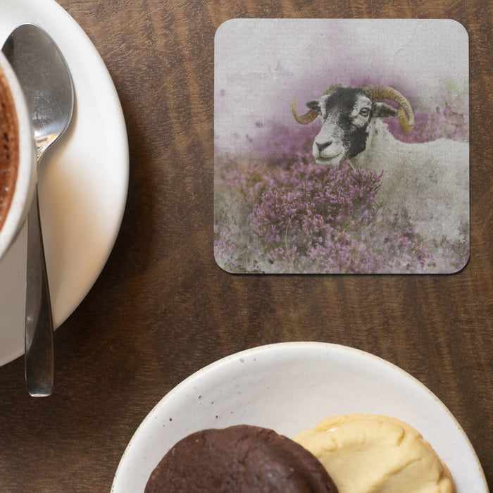 Swaledale Sheep in the Heather Coaster
