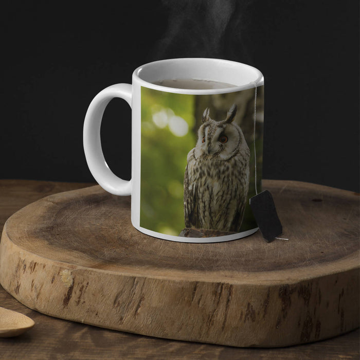 Long-eared Owl Mug